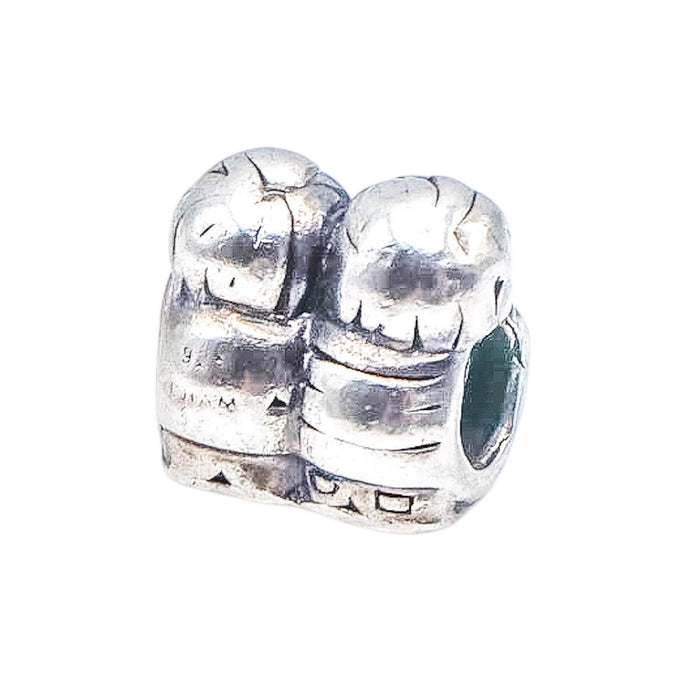 Chamilia Brothers Sterling Silver Family Charm Bead Brother Sibling Gift