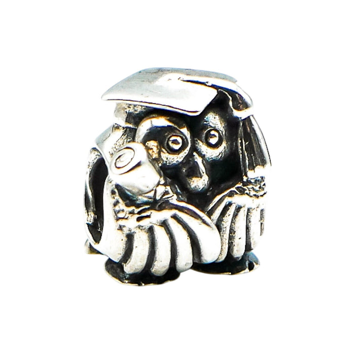 Chamilia Graduation Owl Sterling Silver Charm Graduate Teacher Diploma Gift