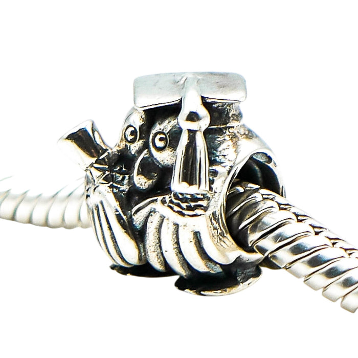 Chamilia Graduation Owl Sterling Silver Charm Graduate Teacher Diploma Gift
