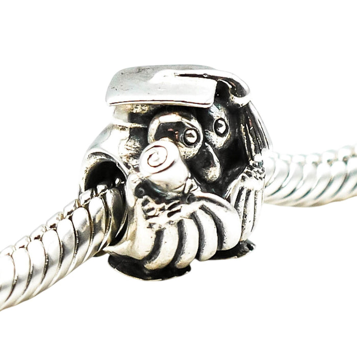 Chamilia Graduation Owl Sterling Silver Charm Graduate Teacher Diploma Gift