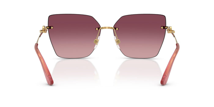 Dolse & Gabana  2321 Sunglasses