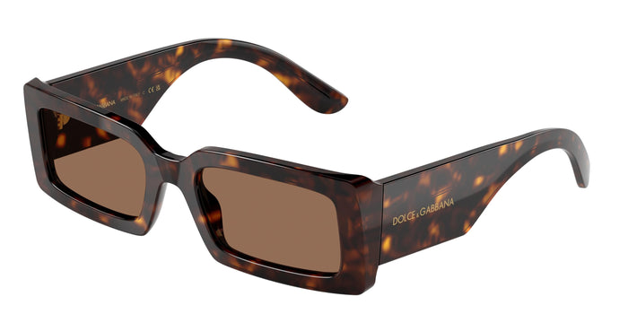 193573 - Tortoise - Dark Brown