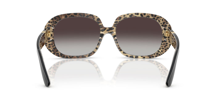 Dolse & Gabana  4476 Sunglasses