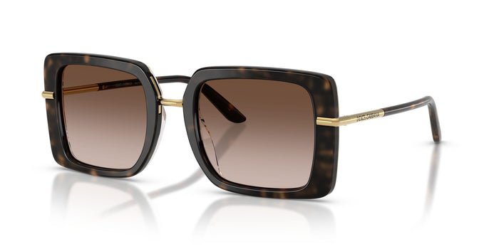 Dolse & Gabana  4491 Sunglasses