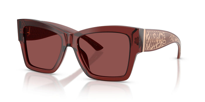Dolse & Gabana  4493 Sunglasses
