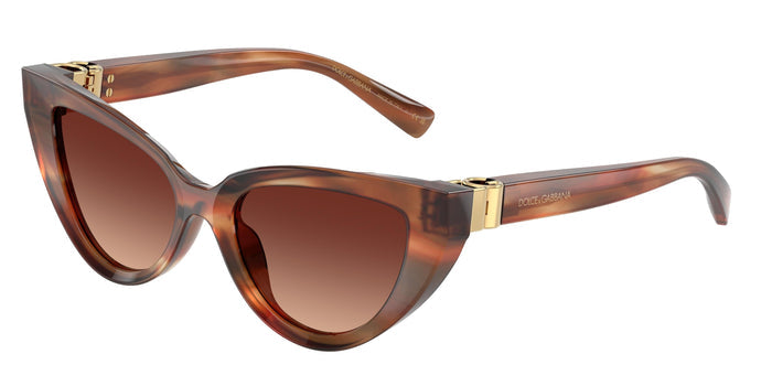 Dolse & Gabana  4497 Sunglasses