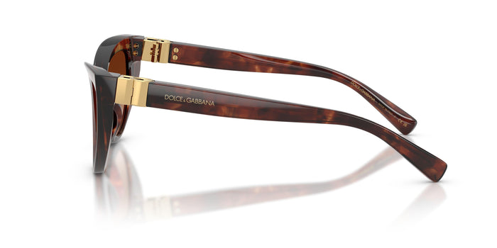 Dolse & Gabana  4497 Sunglasses