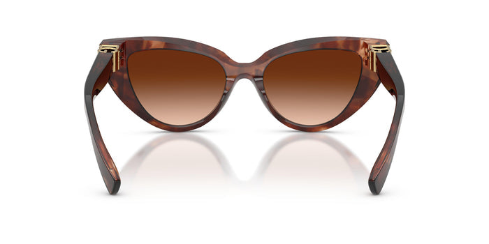 Dolse & Gabana  4497 Sunglasses