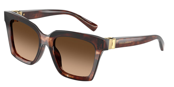 Dolse & Gabana  4498 Sunglasses