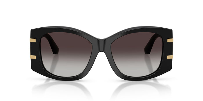 Dolse & Gabana  4501 Sunglasses