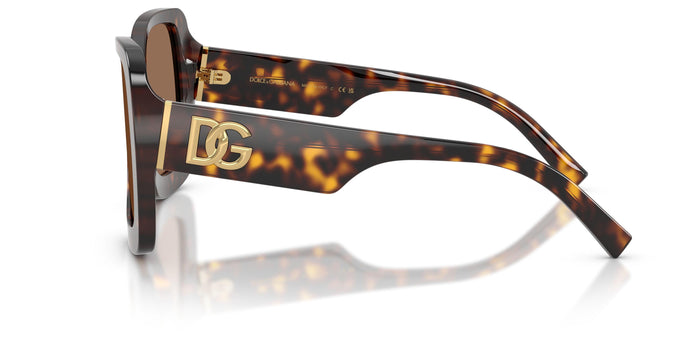 Dolse & Gabana  4513 Sunglasses