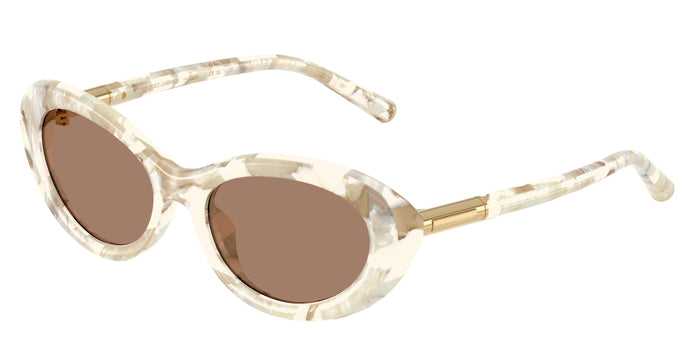 Dolse & Gabana  4519 Sunglasses
