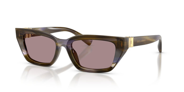 Dolse & Gabana  4532 Sunglasses