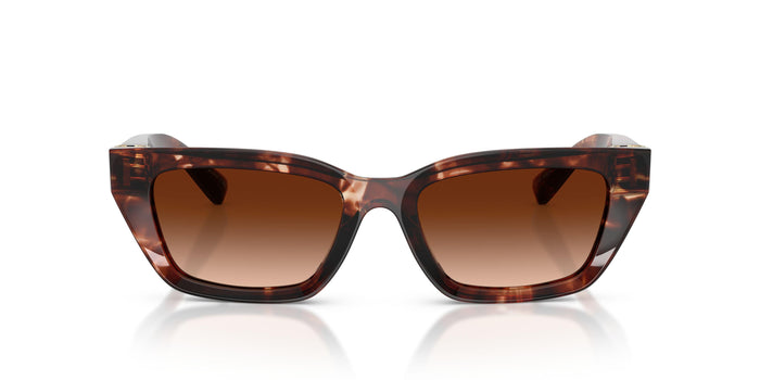 Dolse & Gabana  4532 Sunglasses