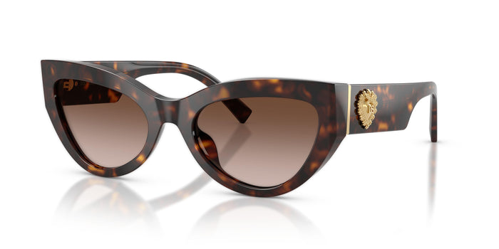 Dolse & Gabana  4536 Sunglasses