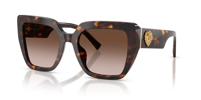Dolse & Gabana  4538 Sunglasses