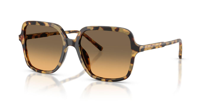 Dolse & Gabana  4539 Sunglasses