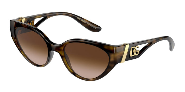 Dolse & Gabana  6146 Sunglasses