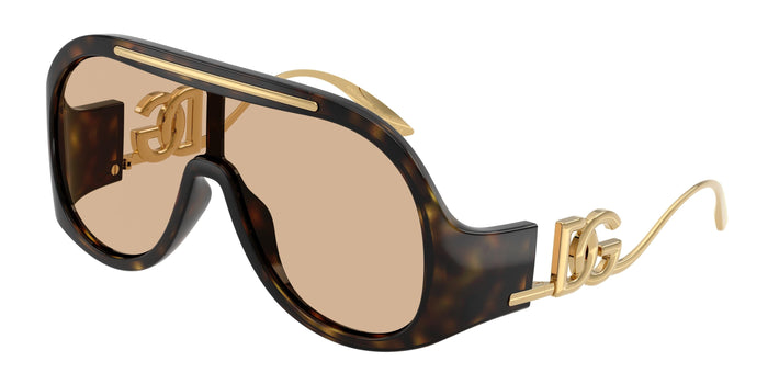 Dolse & Gabana  6202 Sunglasses