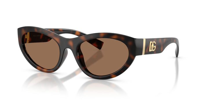 Dolse & Gabana  6207 Sunglasses