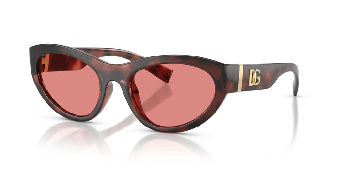 Dolse & Gabana  6207 Sunglasses