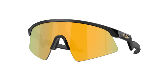 901510 - Black - Prizm 24k