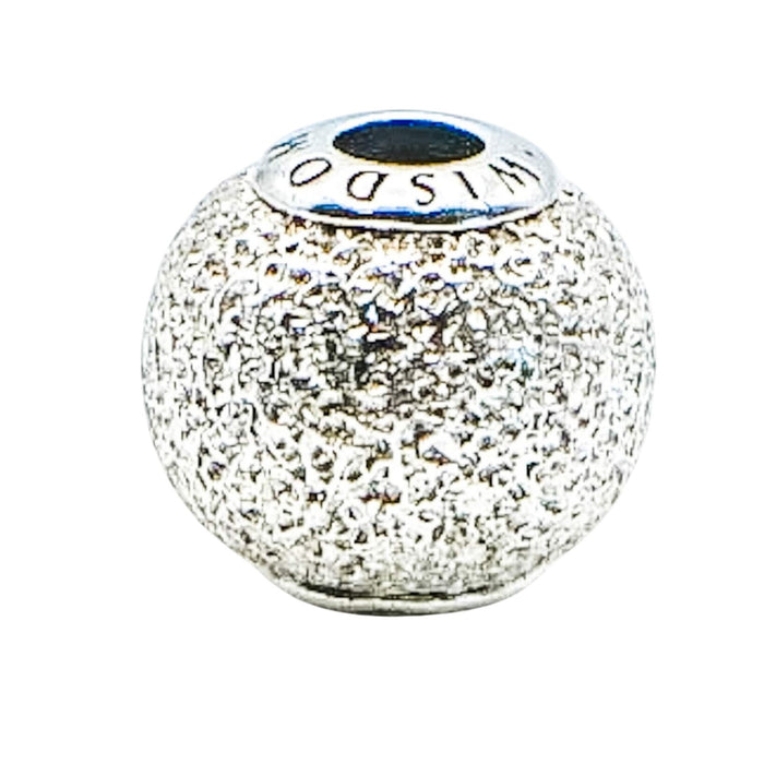 Pandora Essence Wisdom Sterling Silver Charm