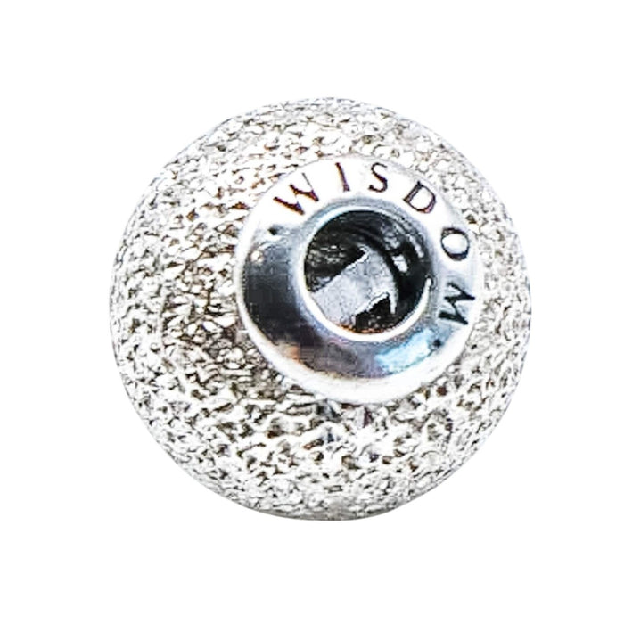 Pandora Essence Wisdom Sterling Silver Charm