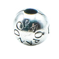 Pandora Loving Pandora Sterling Silver Logo Clip Charm
