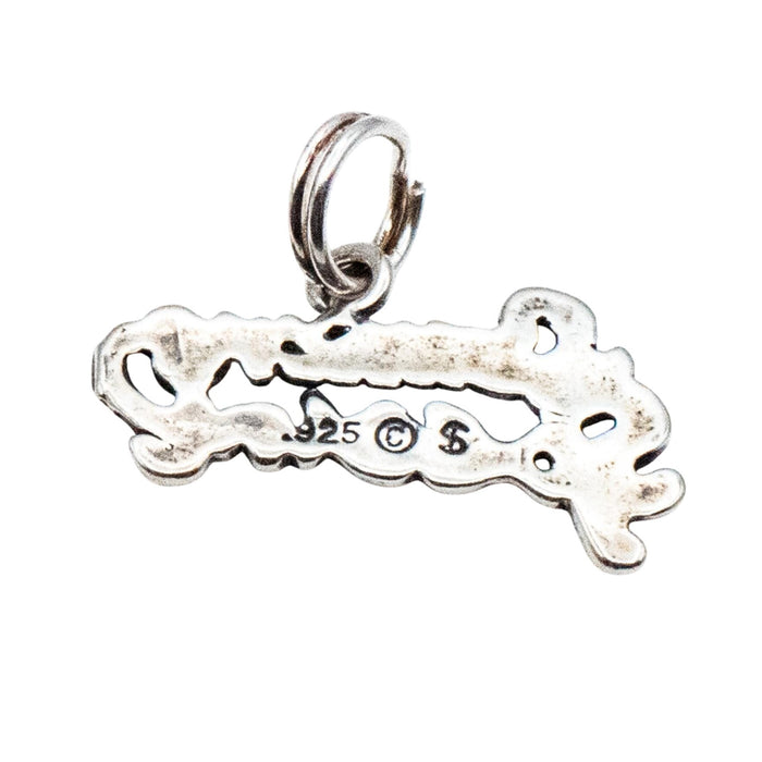 Someone Special Sterling Silver Charm Pendant